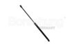 Borsehung B14194 Gas Spring, boot-/cargo area